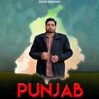 Punjab Sidhu Sukhdev MP3 Song, Punjab Album