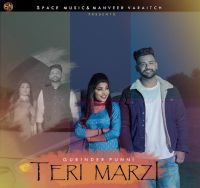 Teri Marji Gurinder Punni MP3 Song, Teri Marji Album