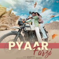 Pyaar Farzi Salman Ali MP3 Song, Pyaar Farzi Album