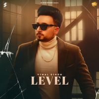 Level Vimal Singh MP3 Song, Level Album