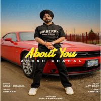 About You Arash Chahal MP3 Song, About You Album