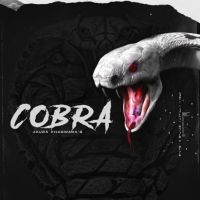 Cobra Jaura Phagwara MP3 Song, Cobra Album