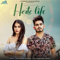 Hate Life Sharry Hassan MP3 Song, Hate Life Album