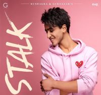 Stalk Kushagra MP3 Song, Stalk Album