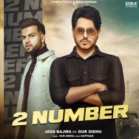 2 Number Jass Bajwa MP3 Song, 2 Number Album