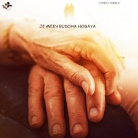 Je Mein Buddha Hogaya Lovely Noor MP3 Song, Je Mein Buddha Hogaya Album