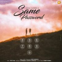 Same Password Jung Sandhu MP3 Song, Same Password Album
