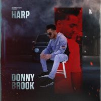 Donnybrook Harp MP3 Song, Donnybrook Album