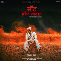 Jatt Bhubban Marda Veet Baljit MP3 Song, Jatt Bhubban Marda Album
