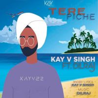 Download Tere Piche Kay V Singh mp3 song, Tere Piche lyrics