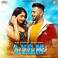 LYSM Jung Sandhu MP3 Song, LYSM Album