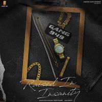 Raised In Insanity Vicky Kaler MP3 Song, Raised In Insanity Album