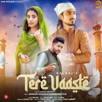 Tere Vaaste Balraj MP3 Song, Tere Vaaste Album