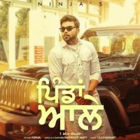 Download Pindan Ale (1 Min Music) Ninja mp3 song, Pindan Ale (1 Min Music) lyrics