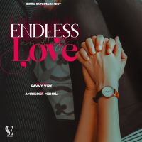 Endless Love Pavvy Virk MP3 Song, Endless Love Album