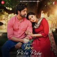 Download Tere Piche Piche Baani Sandhu mp3 song, Tere Piche Piche lyrics