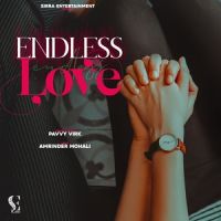 Download Endless Love Pavvy Virk mp3 song, Endless Love lyrics