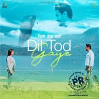 Dil Tod Gaye Harbhajan Mann MP3 Song, Dil Tod Gaye (P.R) Album