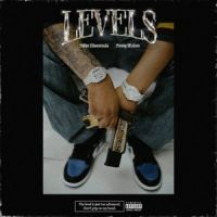 Levels Sidhu Moose Wala MP3 Song, Levels Album