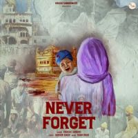 Never Forget Virasat Sandhu MP3 Song, Never Forget Album