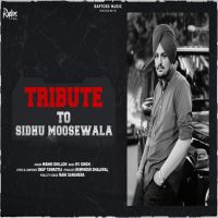 Download Sidhu Moosewala Tribute Wanni Dhillon mp3 song, Sidhu Moosewala Tribute lyrics