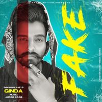 Fake Ginda MP3 Song, Fake Album