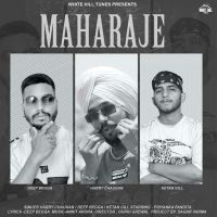Download Maharaje Harry Chauhan, Deep Begga, Ketan Gill mp3 song, Maharaje lyrics