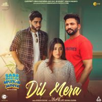 Dil Mera Anirudh Kaushal MP3 Song, Dil Mera Album
