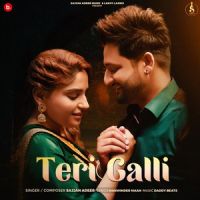 Teri Galli Sajjan Adeeb MP3 Song, Teri Galli Album