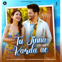 Tu Jinna Karda Ae Sajjan Adeeb MP3 Song, Tu Jinna Karda Ae Album