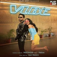 Download Vibe Preetinder mp3 song, Vibe lyrics