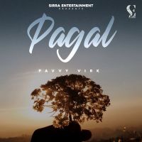 Pagal Pavvy Virk MP3 Song, Pagal Album