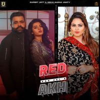 Red Akh Aar Jay, Gurlez Akhtar MP3 Song, Red Akh Album