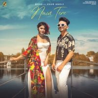 Nain Tere Bilas MP3 Song, Nain Tere Album