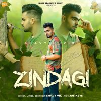 Zindagi Shavy Vik MP3 Song, Zindagi Album