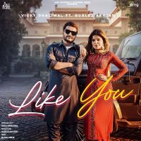 Like You Vicky Dhaliwal MP3 Song, Like You Album