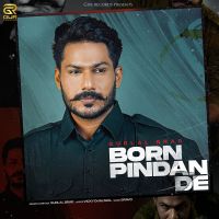 Born Pindan De Gurlal Brar MP3 Song, Born Pindan De Album