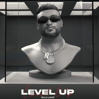 Level Up Nijjar MP3 Song, Level Up Album