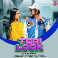 Teri Look MD Desi Rockstar MP3 Song, Teri Look Album