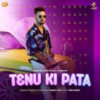 Tenu Ki Pata Shavy Vik MP3 Song, Tenu Ki Pata Album