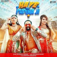 Haye Pudina Ji Ruchika Jangid MP3 Song, Haye Pudina Ji Album