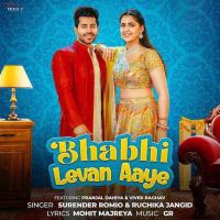 Bhabhi Levan Aaye Surender Romio MP3 Song, Bhabhi Levan Aaye Album