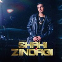 Shahi Zindagi Sagar Pop MP3 Song, Shahi Zindagi Album