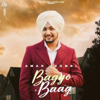 Baggo Baag Amar Sehmbi MP3 Song, Baggo Baag Album
