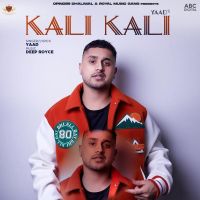 Kali Kali Yaad MP3 Song, Kali Kali Album