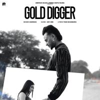 Gold Digger Harman MP3 Song, Gold Digger Album