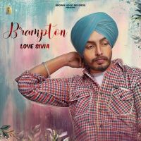 Brampton Love Sivia MP3 Song, Br,ton Album