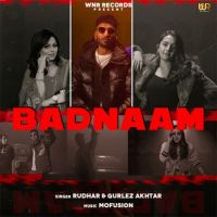 Badnaam Rudhar MP3 Song, Badnaam Album