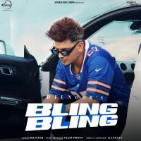 Bling Bling Dilnoor MP3 Song, Bling Bling Album
