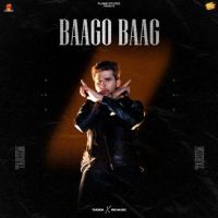Baago Baag Tarsem MP3 Song, Baago Baag Album